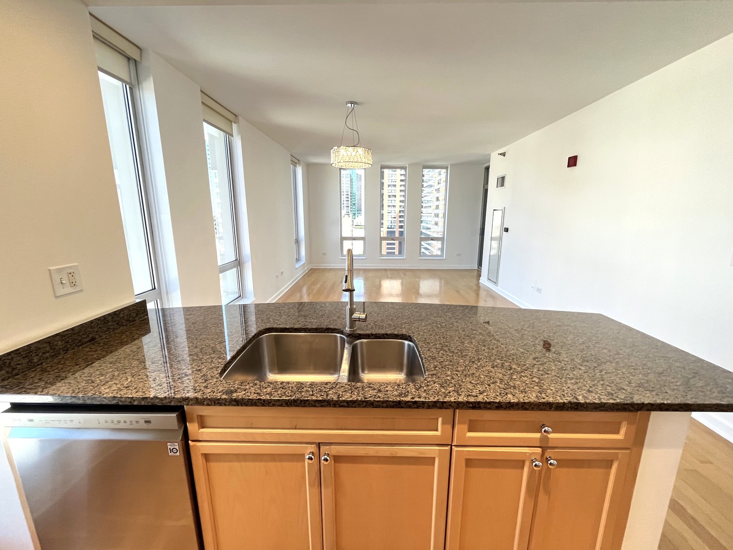 1250 S Michigan Avenue 1209 Property Photo 3