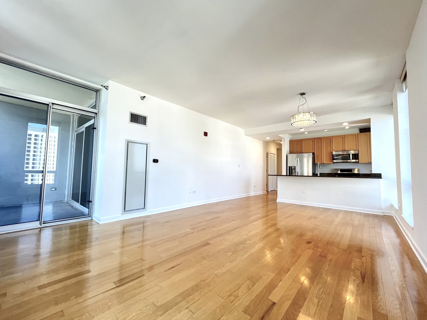 1250 S Michigan Avenue 1209 Property Photo 4