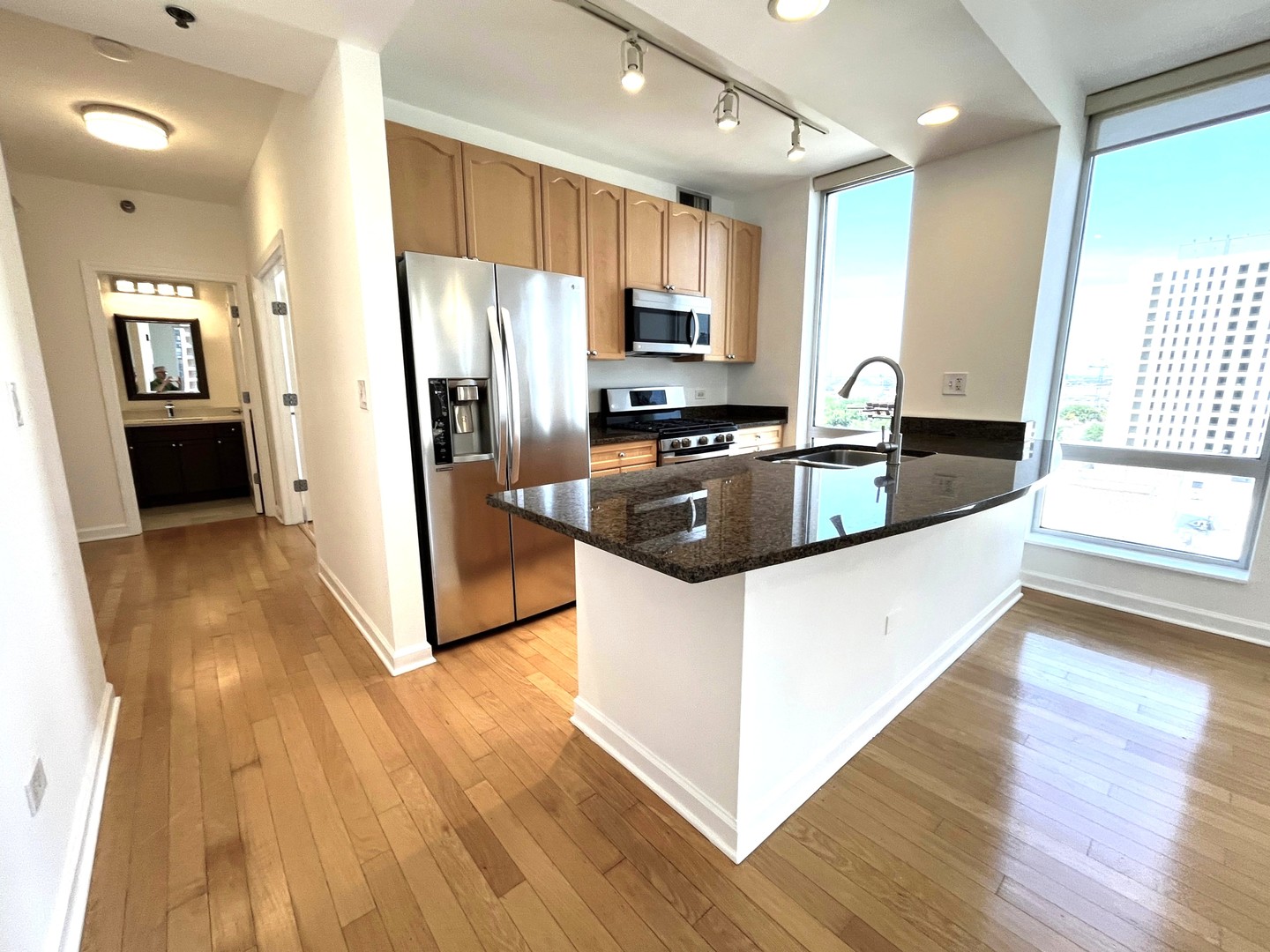 1250 S Michigan Avenue 1209 Property Photo 7