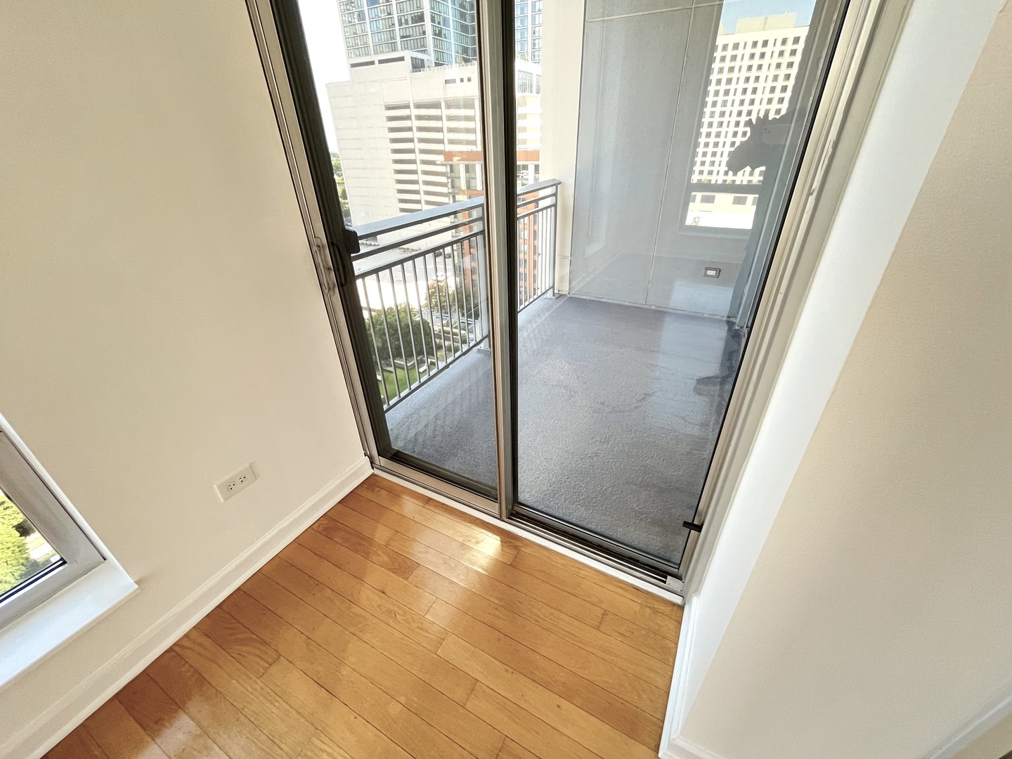 1250 S Michigan Avenue 1209 Property Photo 18