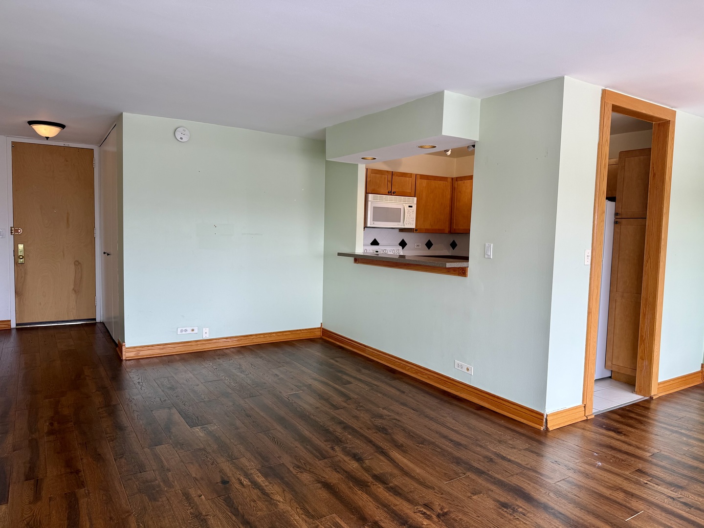 655 W Irving Park Road 1115 Property Photo 4
