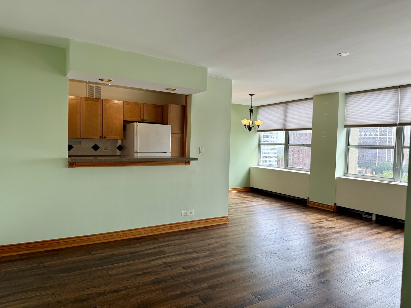 655 W Irving Park Road 1115 Property Photo 5