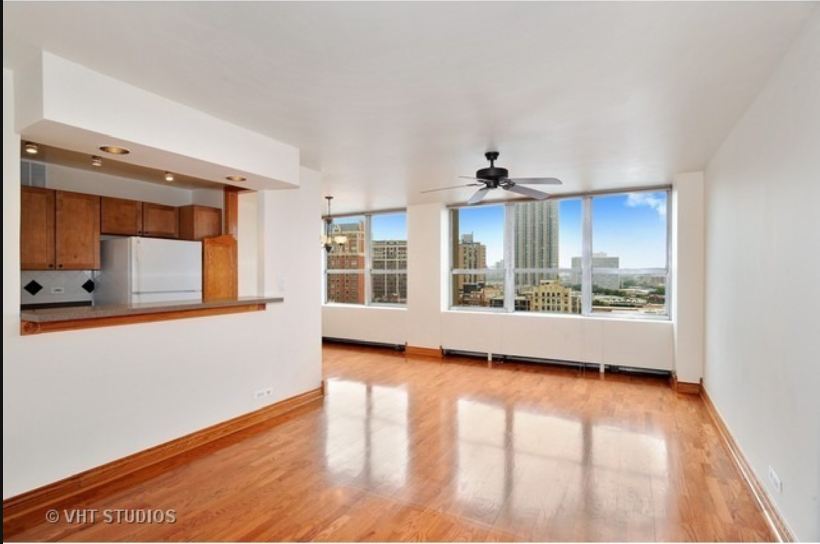 655 W Irving Park Road 1115 Property Photo 6