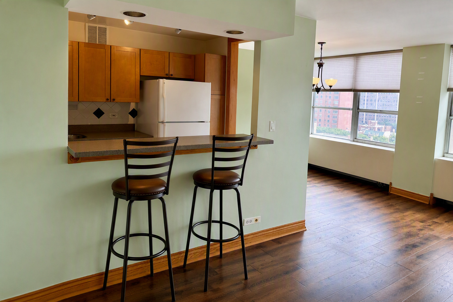 655 W Irving Park Road 1115 Property Photo 6