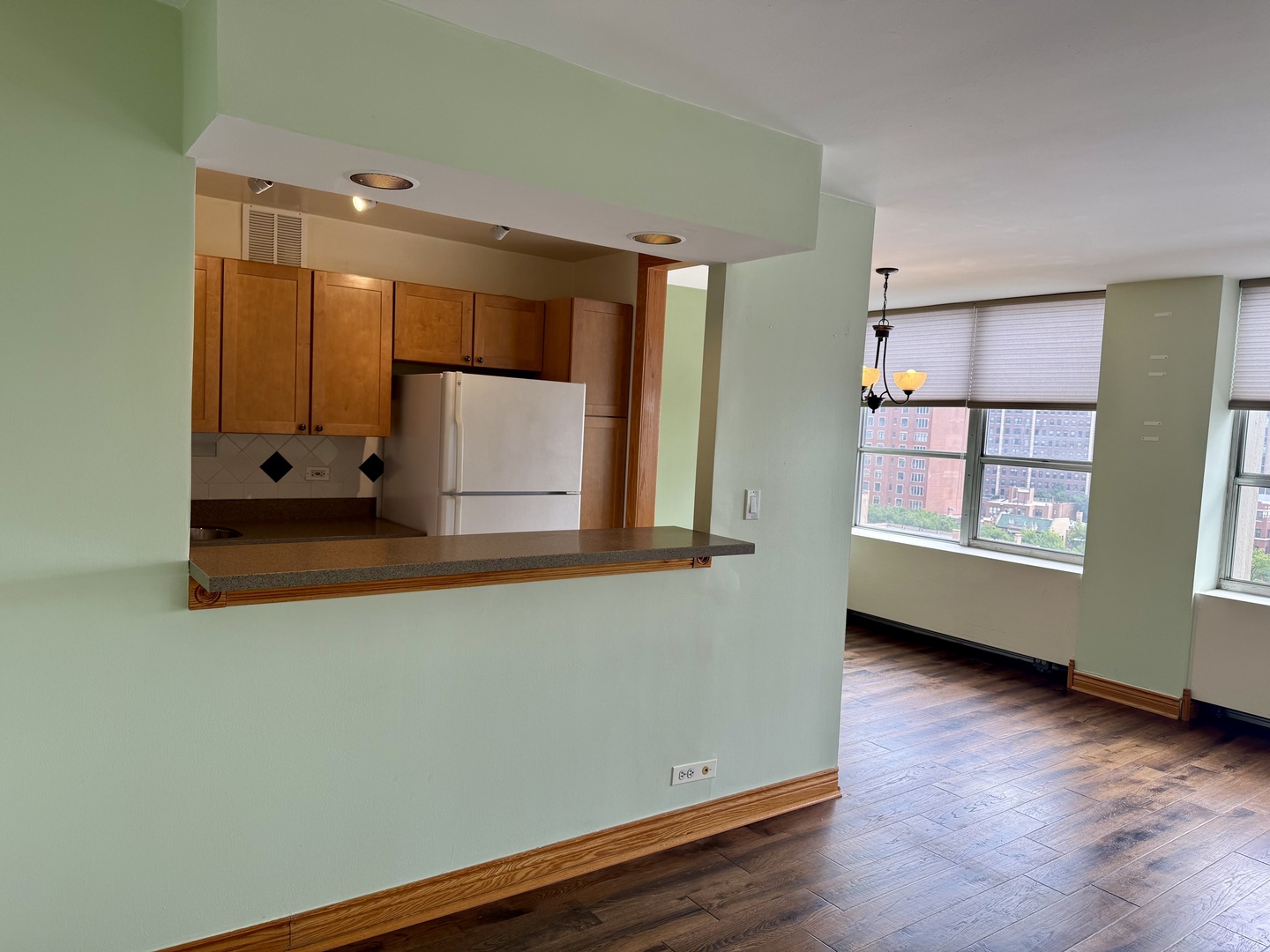 655 W Irving Park Road 1115 Property Photo 7