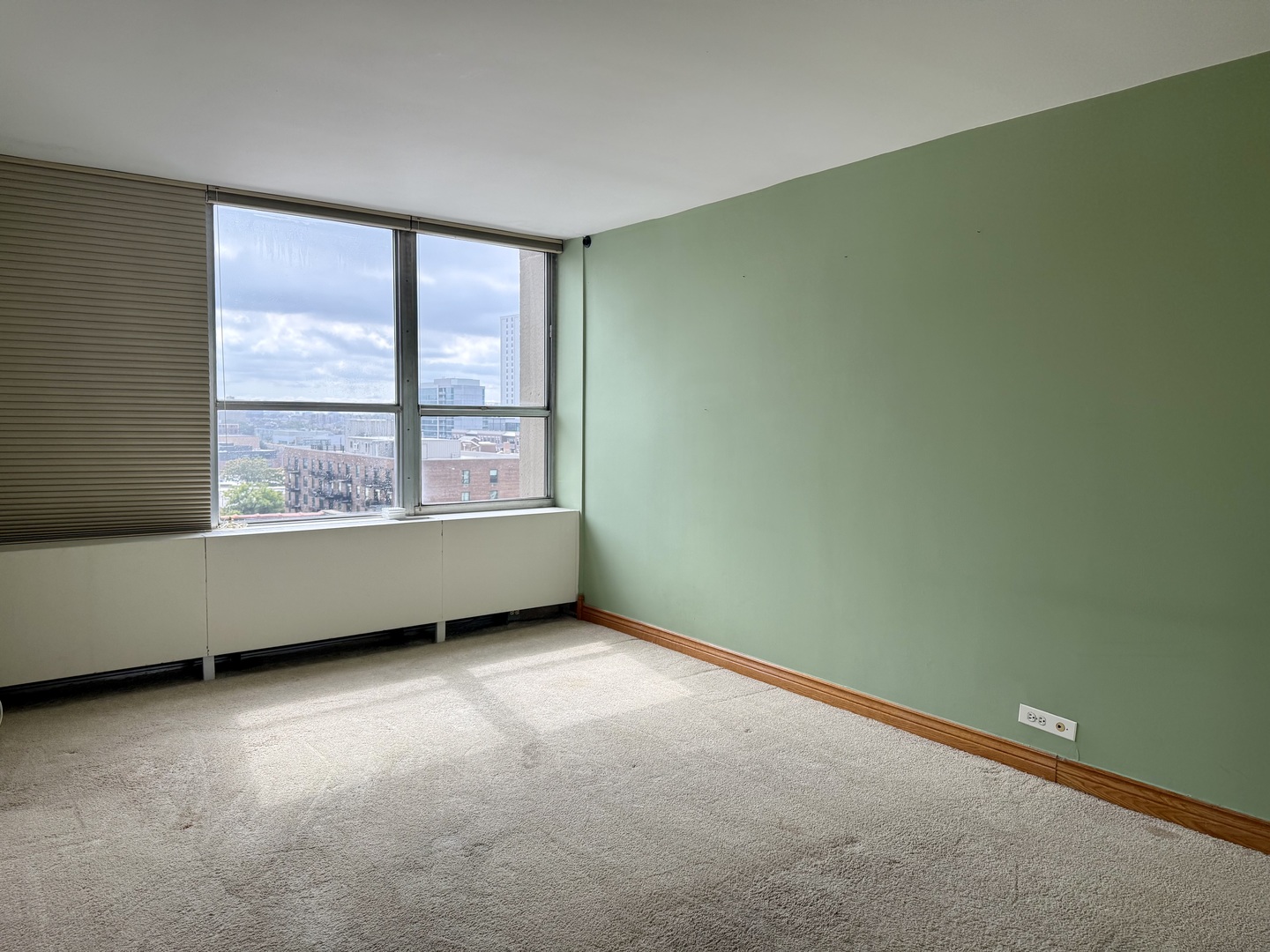 655 W Irving Park Road 1115 Property Photo 18