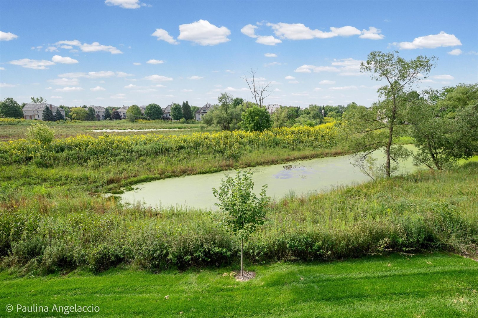 1013 Ridgeview Drive Property Photo 19