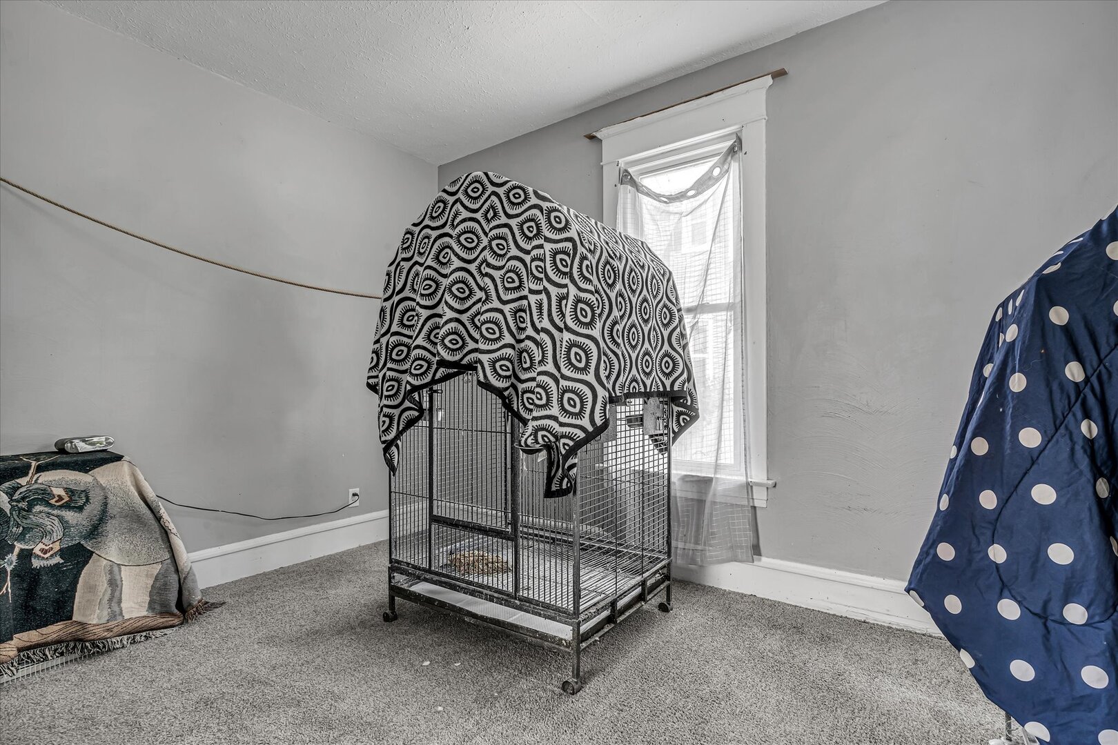 1435 10th Street Property Photo 21