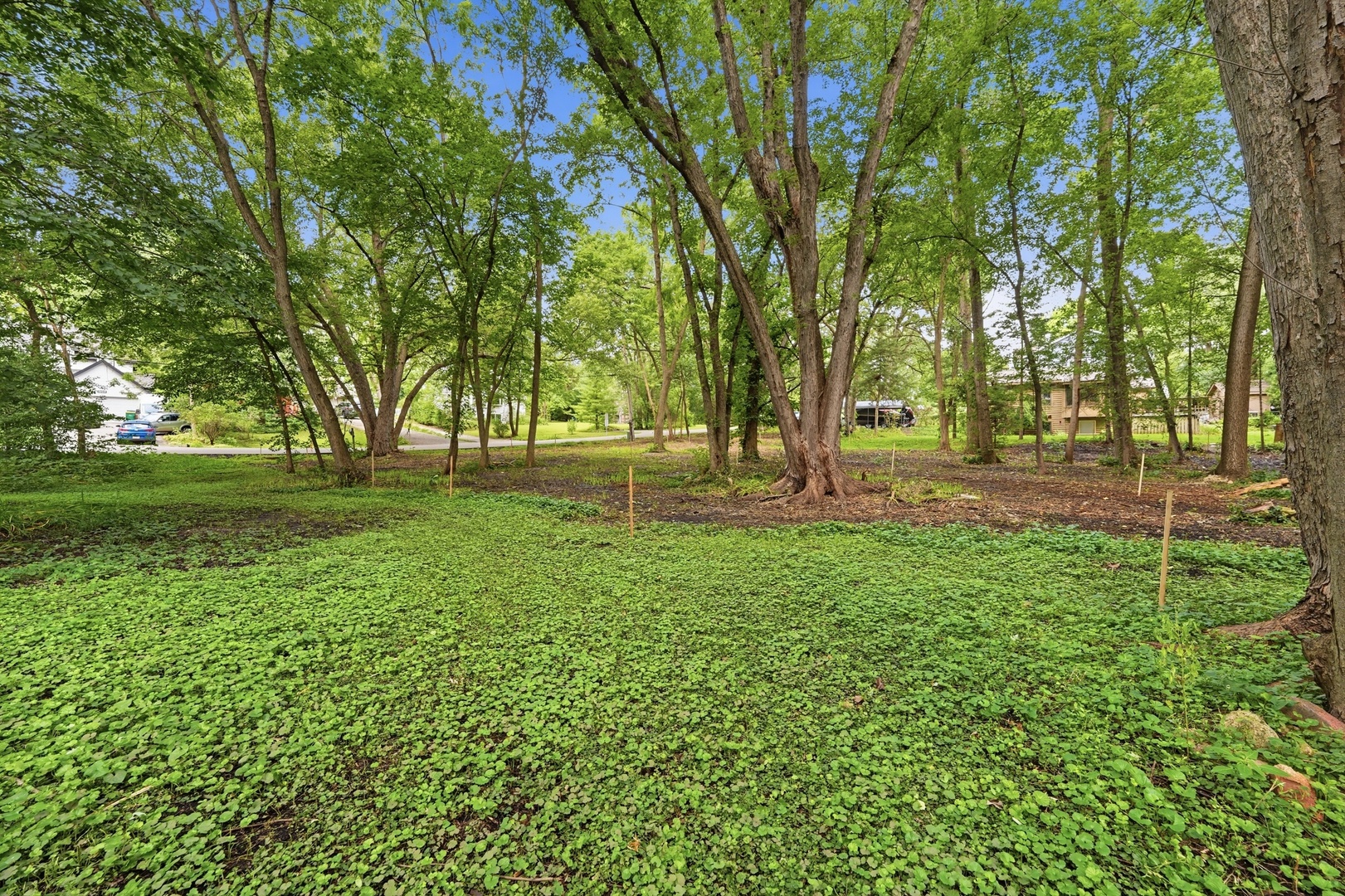 24005 N Valley Road Property Photo 14