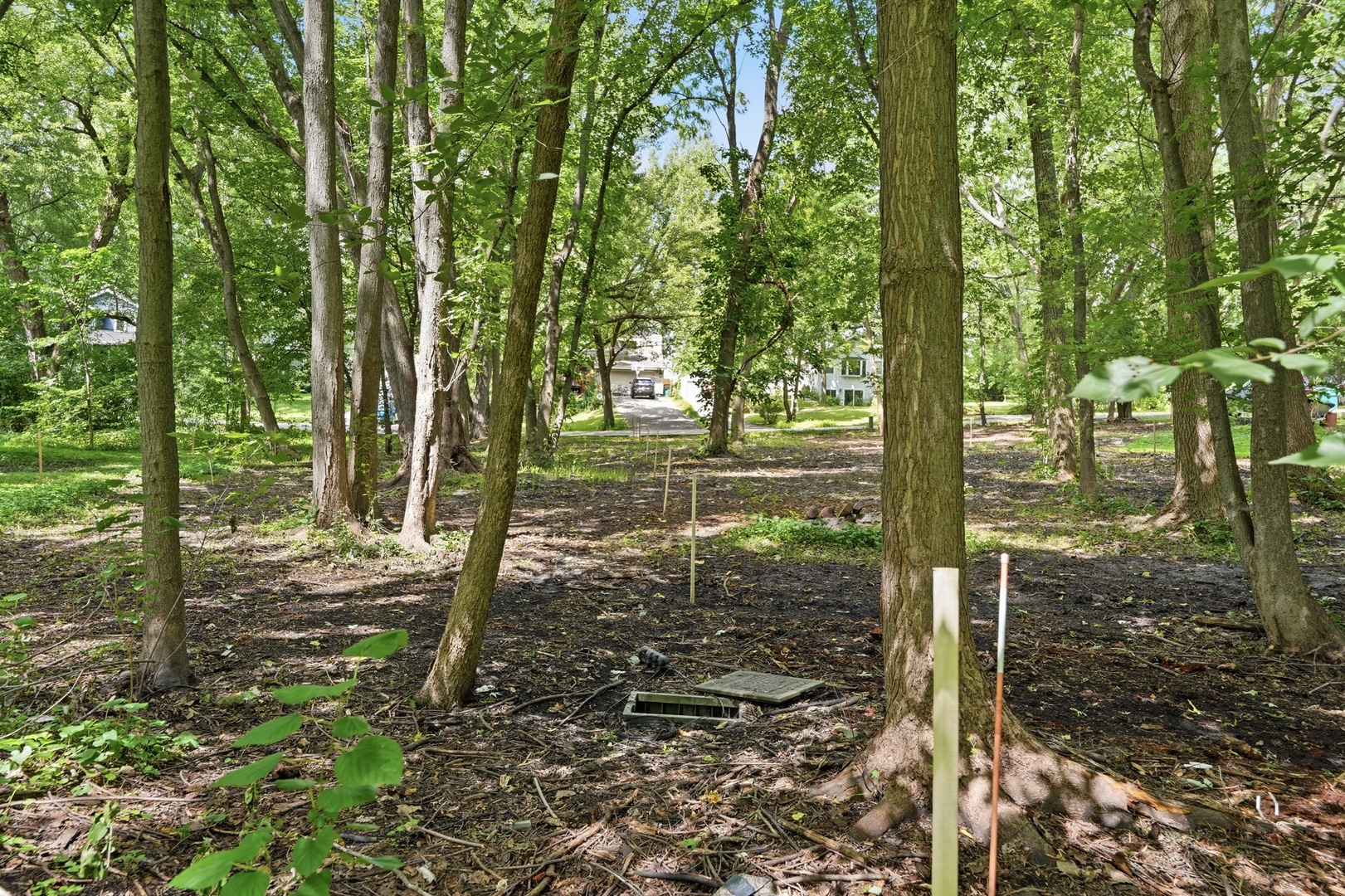 24005 N Valley Road Property Photo 17
