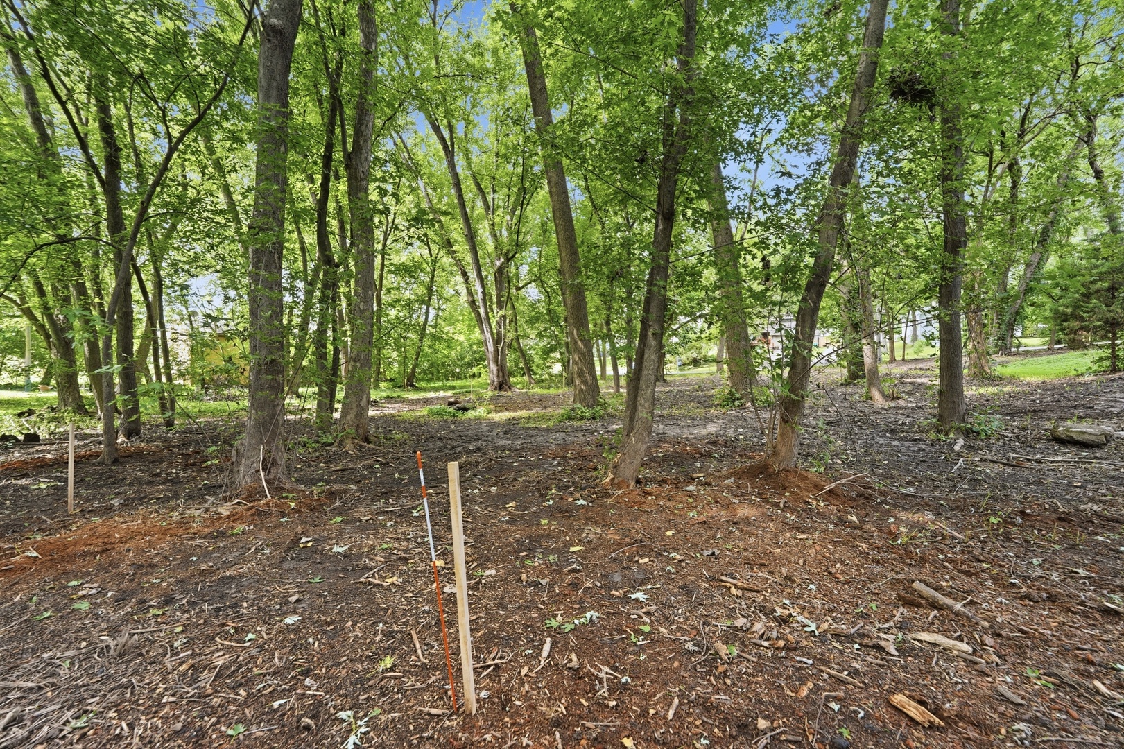 24005 N Valley Road Property Photo 19