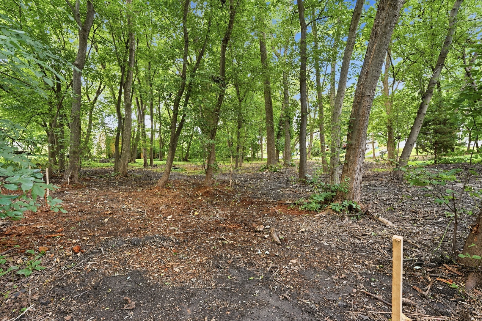 24005 N Valley Road Property Photo 20