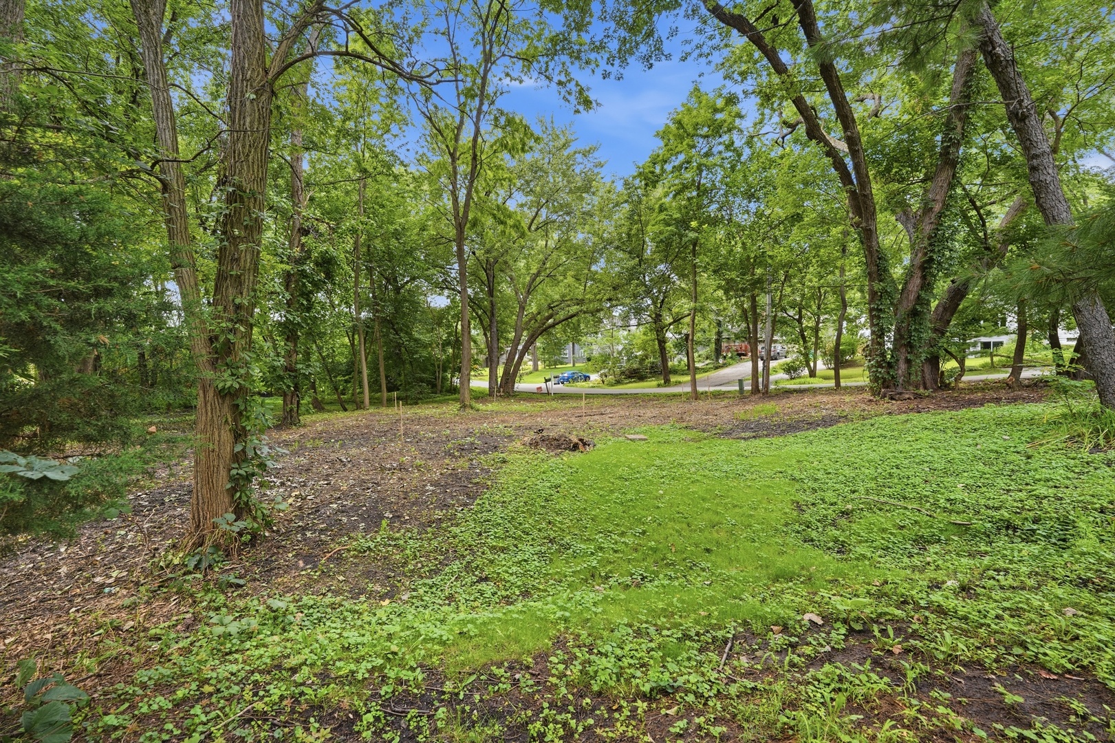 24005 N Valley Road Property Photo 22
