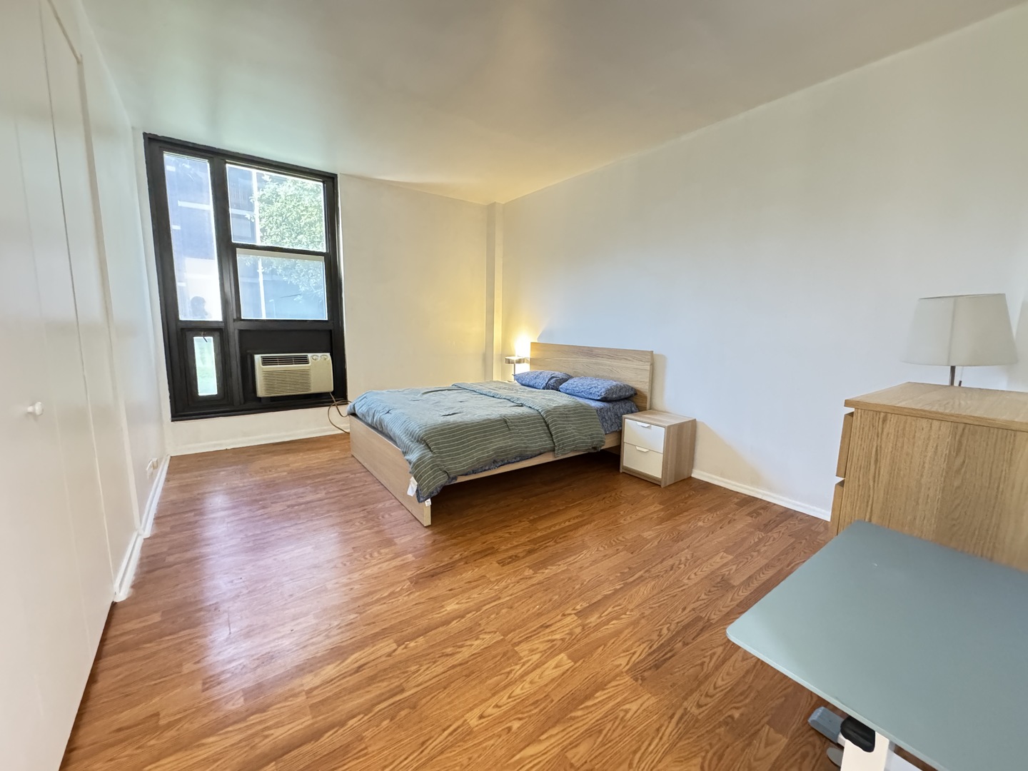 2921 S Michigan Avenue 109 Property Photo 8