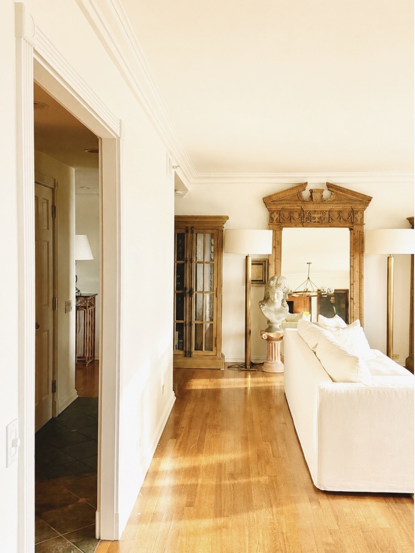 100 E Huron Street 3504 Property Photo 6