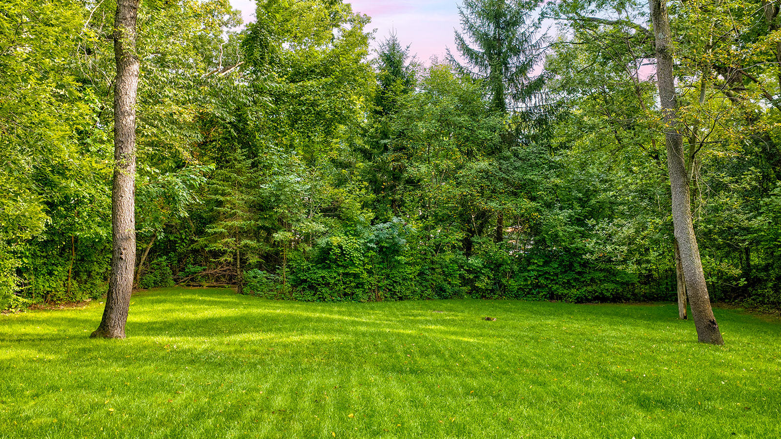 300 White Tail Lane Property Photo 34