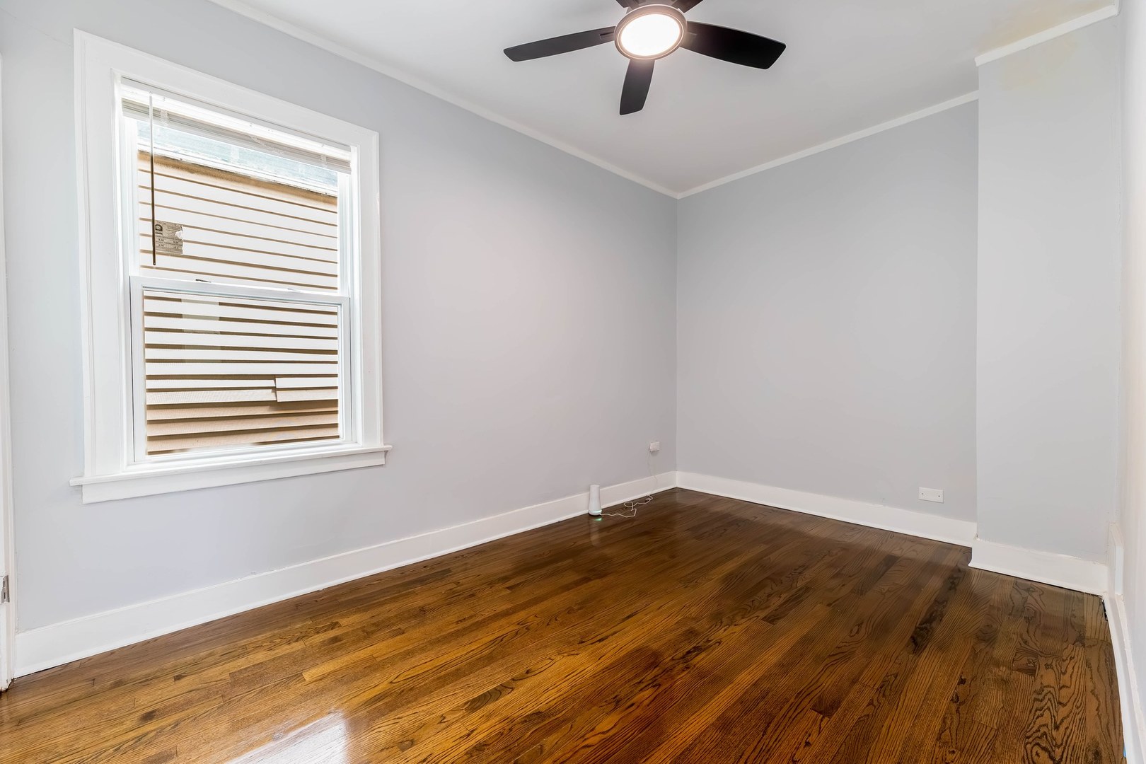 6438 S Hoyne Avenue Property Photo 9