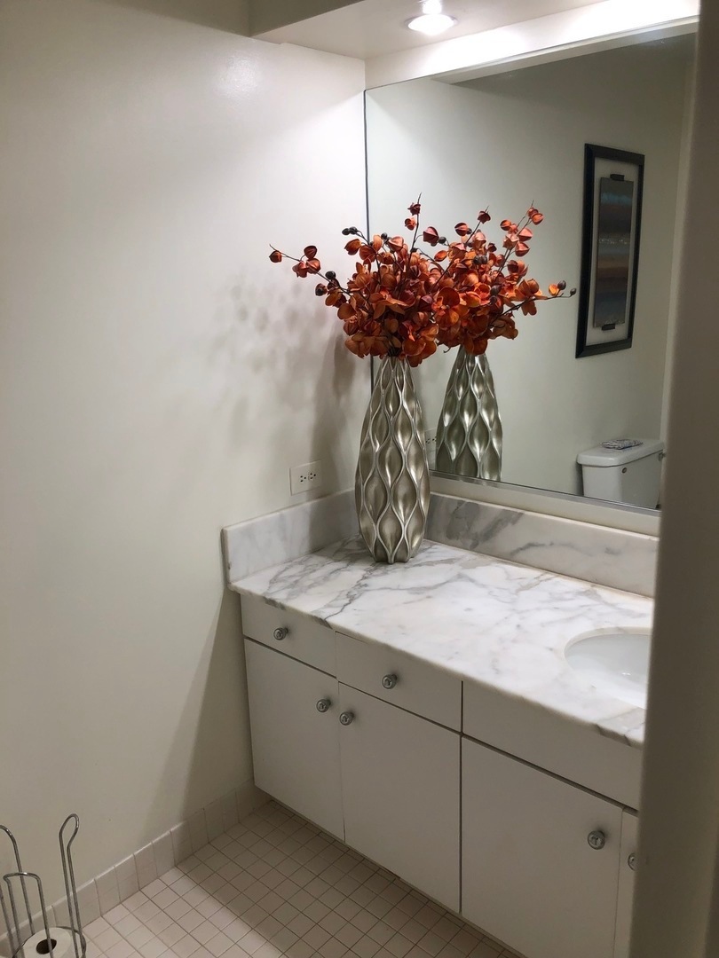 680 N Lake Shore Drive 1509 Property Photo 14