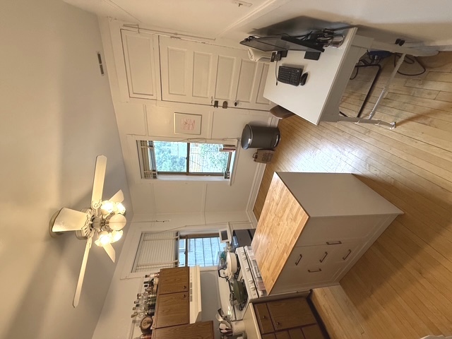 900 W Wrightwood Avenue 2w Property Photo 7
