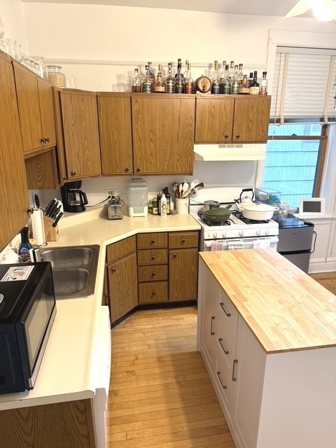 900 W Wrightwood Avenue 2w Property Photo 8