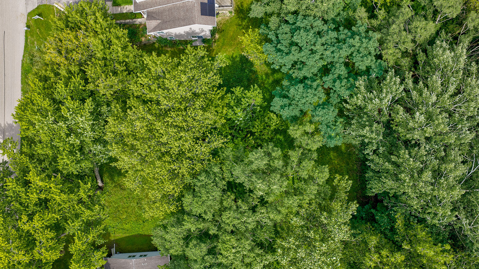 0 Park Avenue Property Photo 4