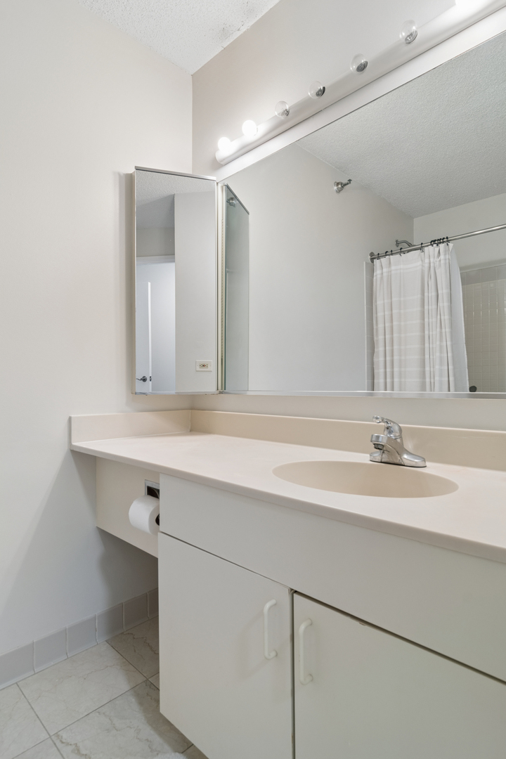 480 N Mcclurg Court 413 Property Photo 18