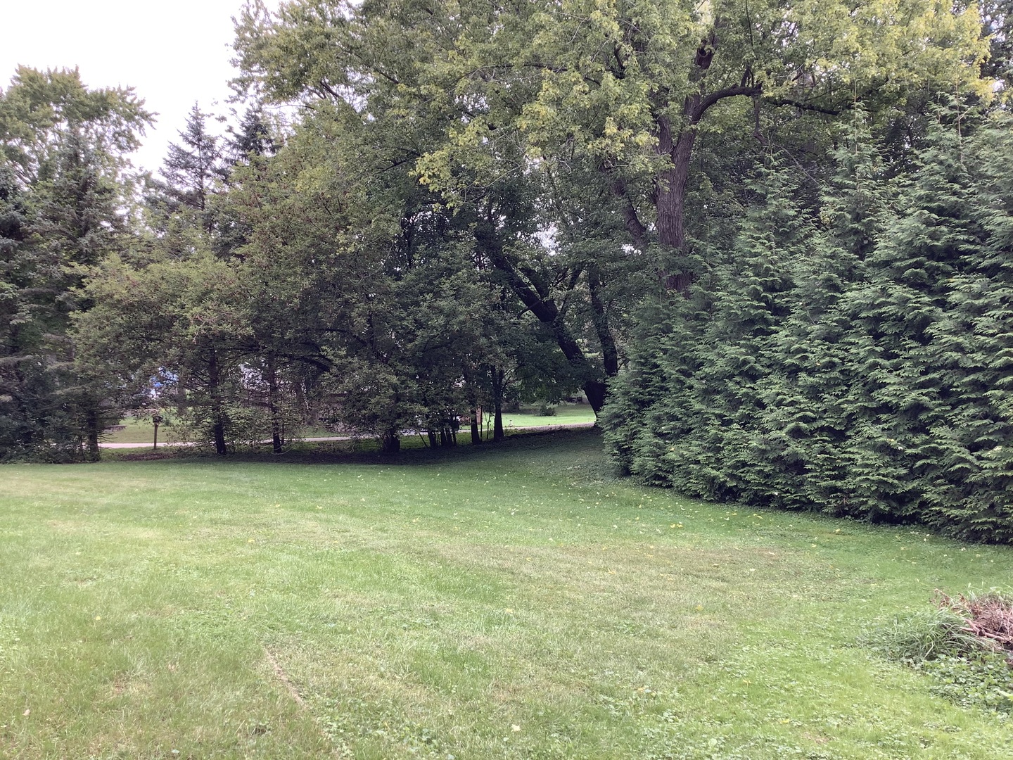28575 W Valley Road Property Photo 17