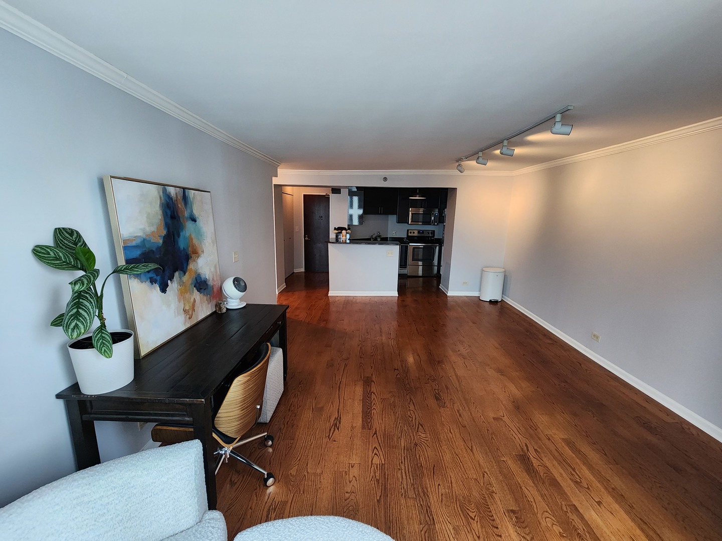 195 N Harbor Drive 3807 Property Photo 4