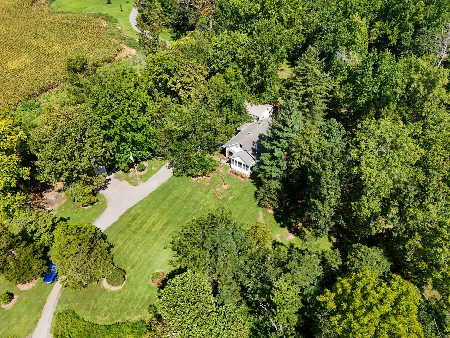 14264 Mustang Road Property Photo 22