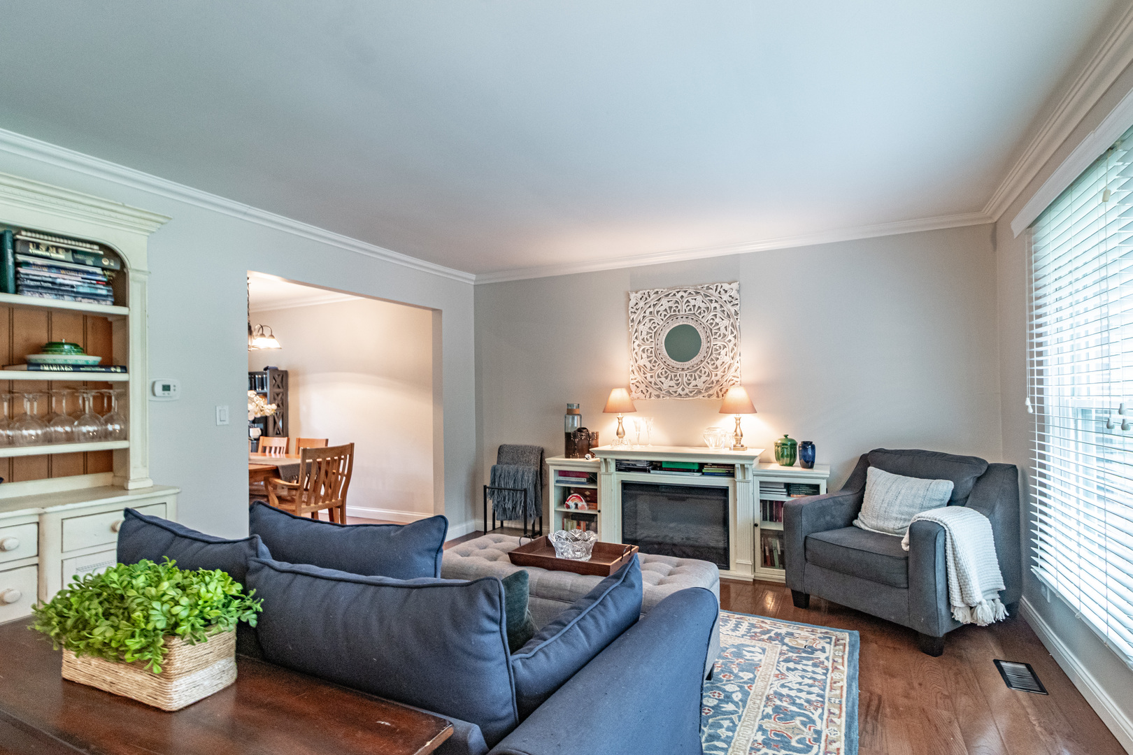 6 S Deerpath Drive Property Photo 4