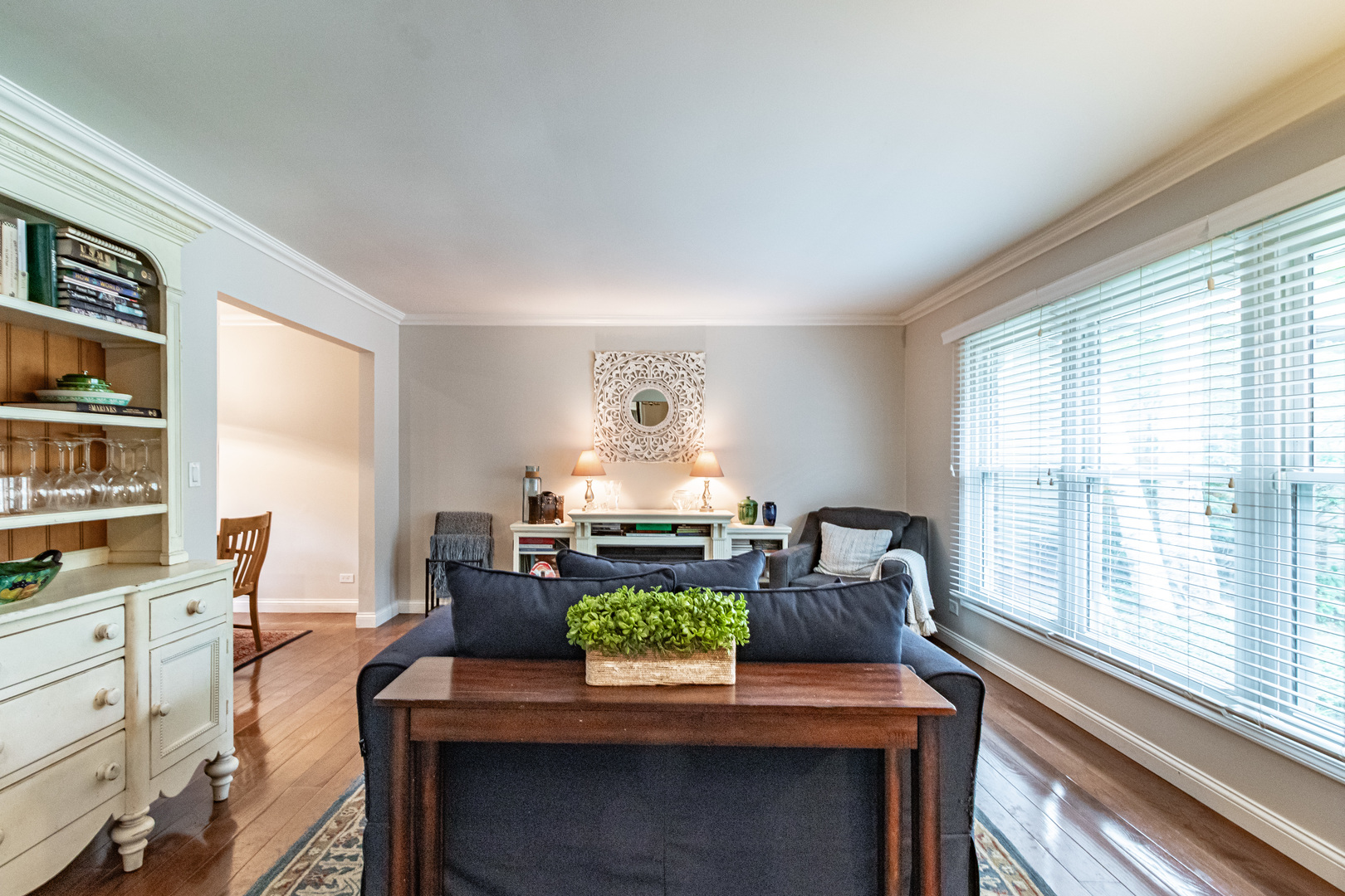 6 S Deerpath Drive Property Photo 5