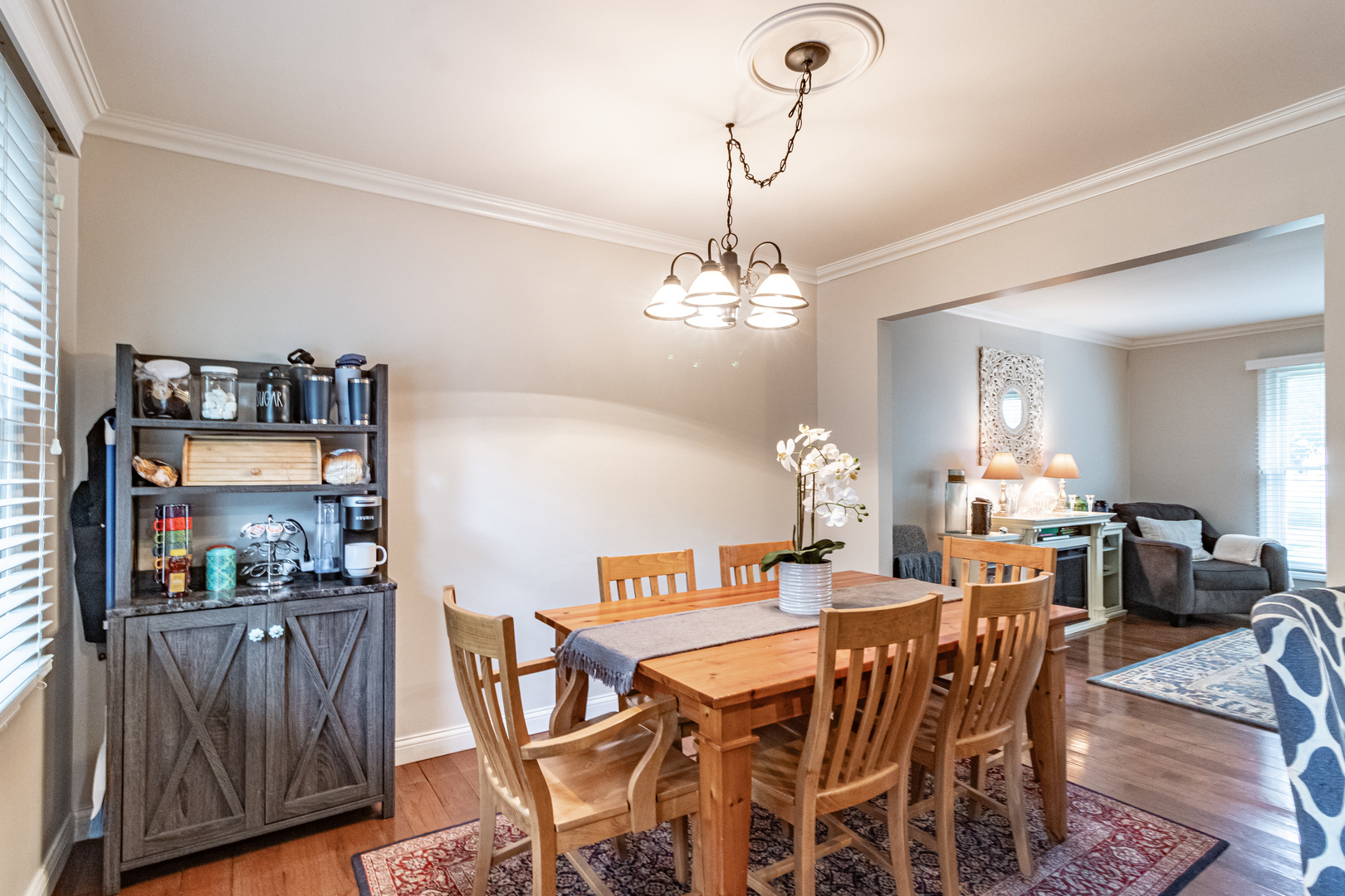 6 S Deerpath Drive Property Photo 8