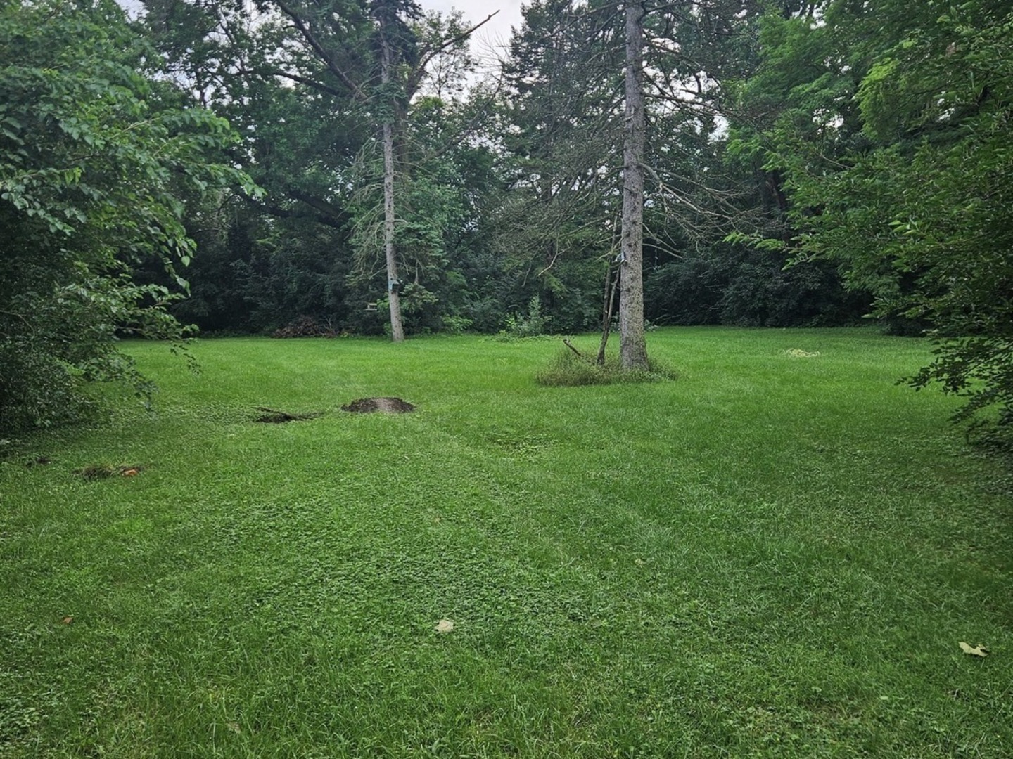 419 W 63rd Street Property Photo 1