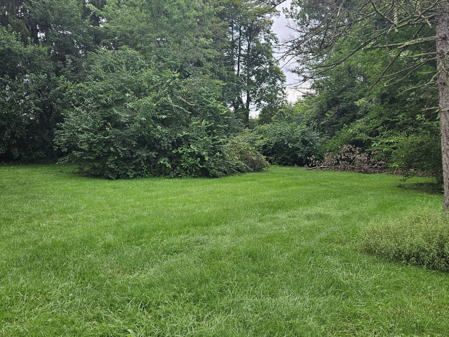 419 W 63rd Street Property Photo 2