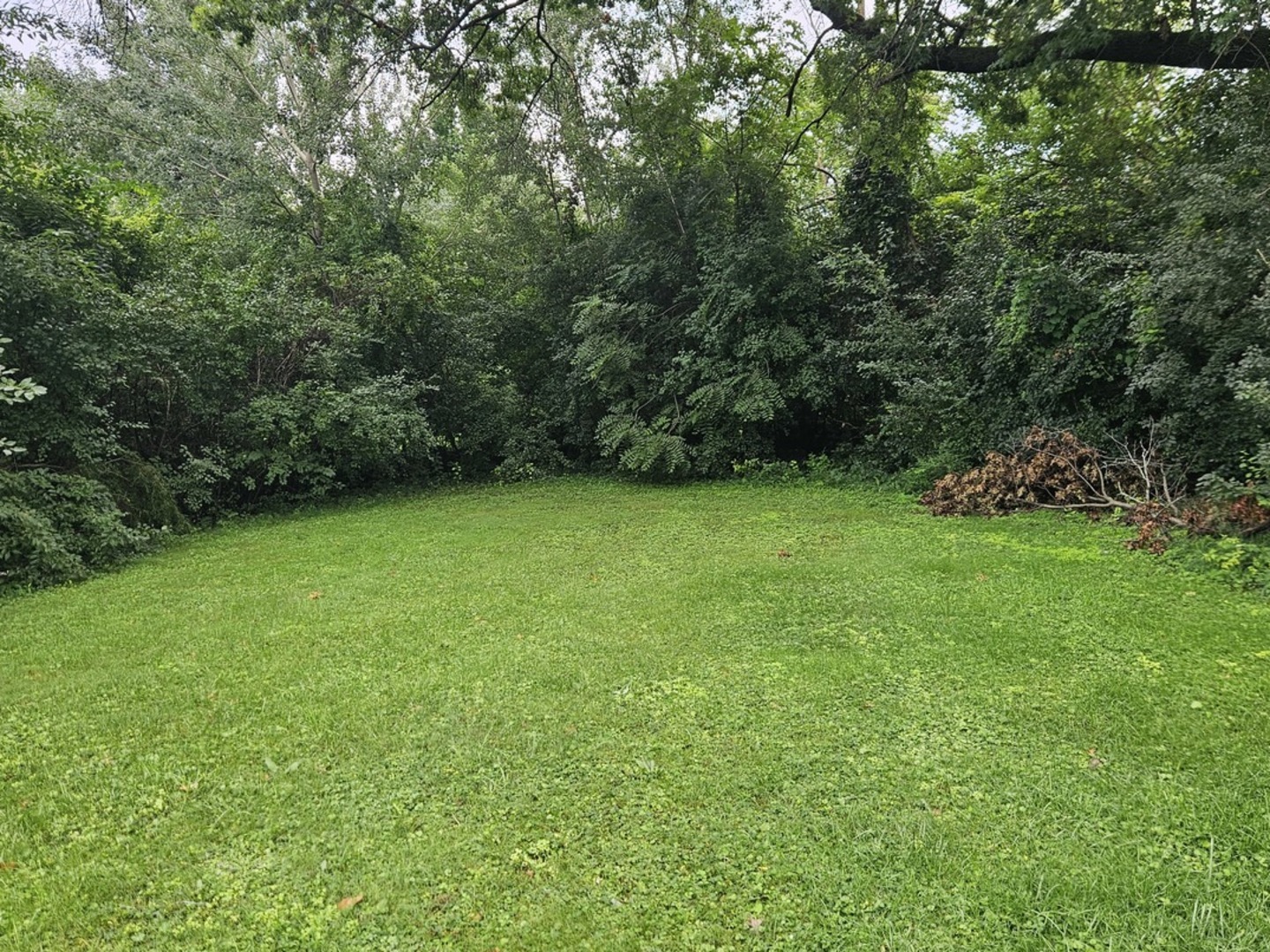 419 W 63rd Street Property Photo 3