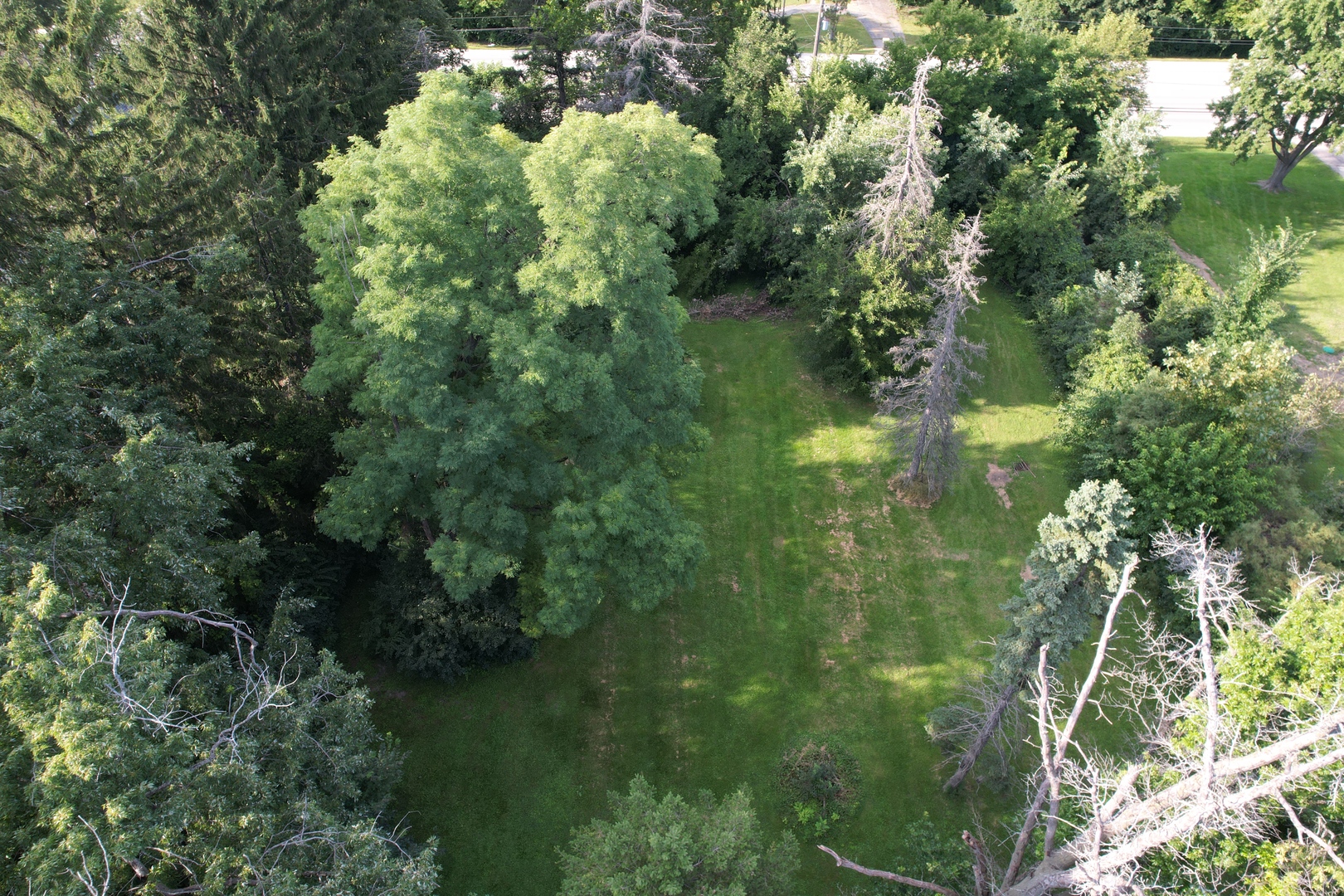 419 W 63rd Street Property Photo 8