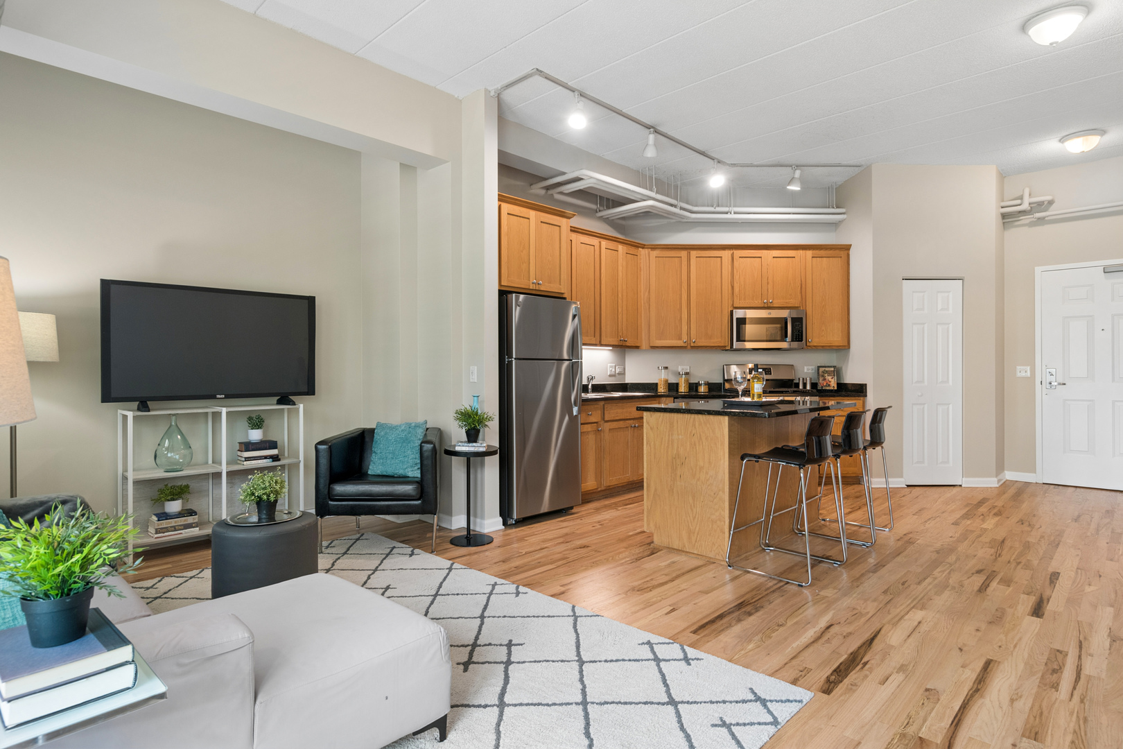 1919 S Michigan Avenue 200 Property Photo 8