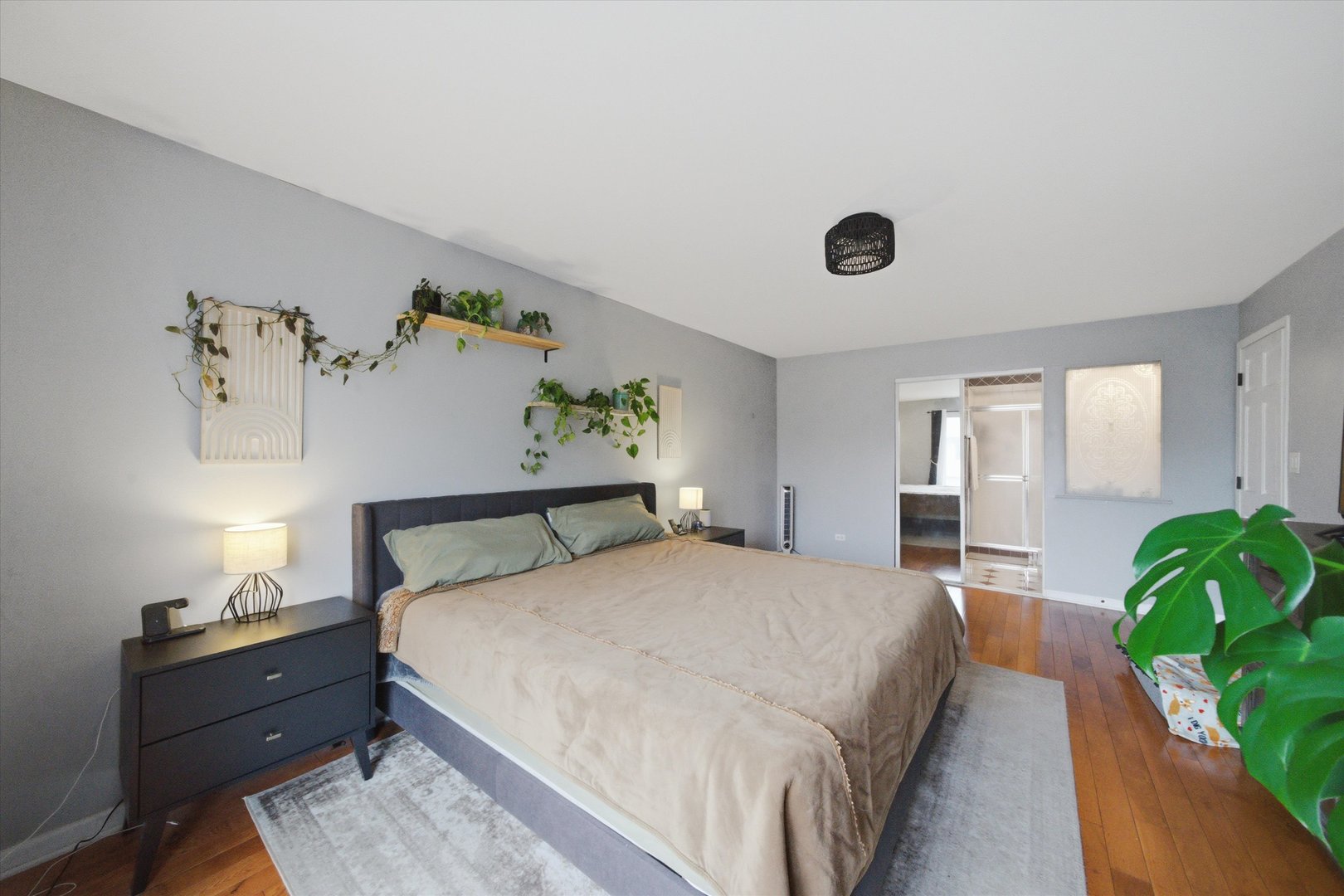 12737316 Property Photo 13