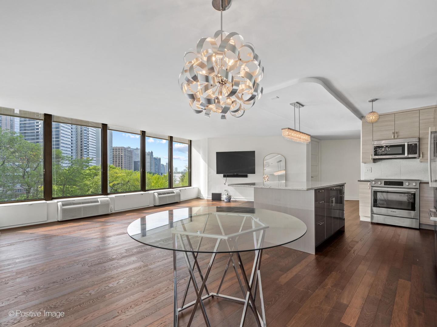 505 N Lake Shore Drive 501 Property Photo 6