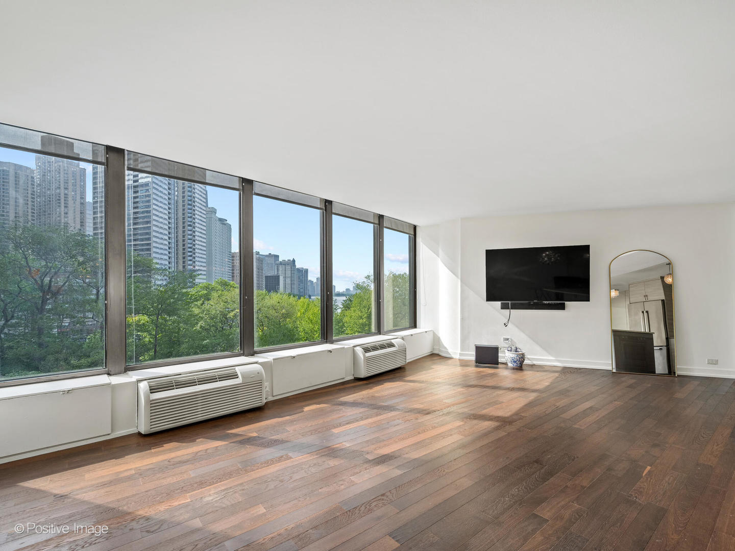 505 N Lake Shore Drive 501 Property Photo 8