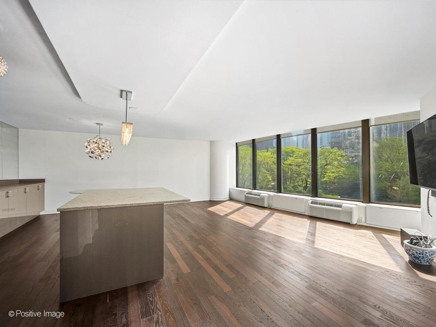 505 N Lake Shore Drive 501 Property Photo 9