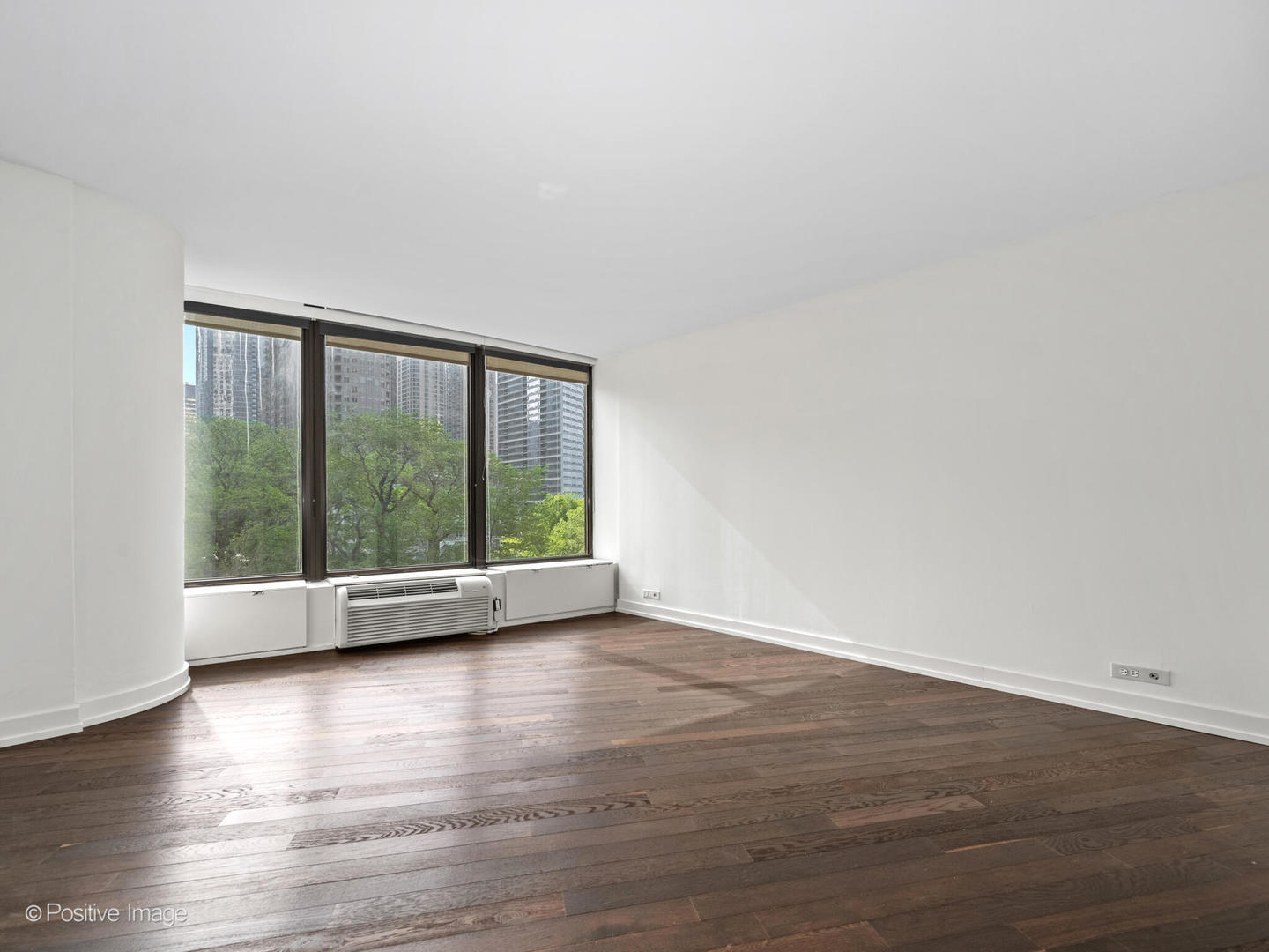 505 N Lake Shore Drive 501 Property Photo 11