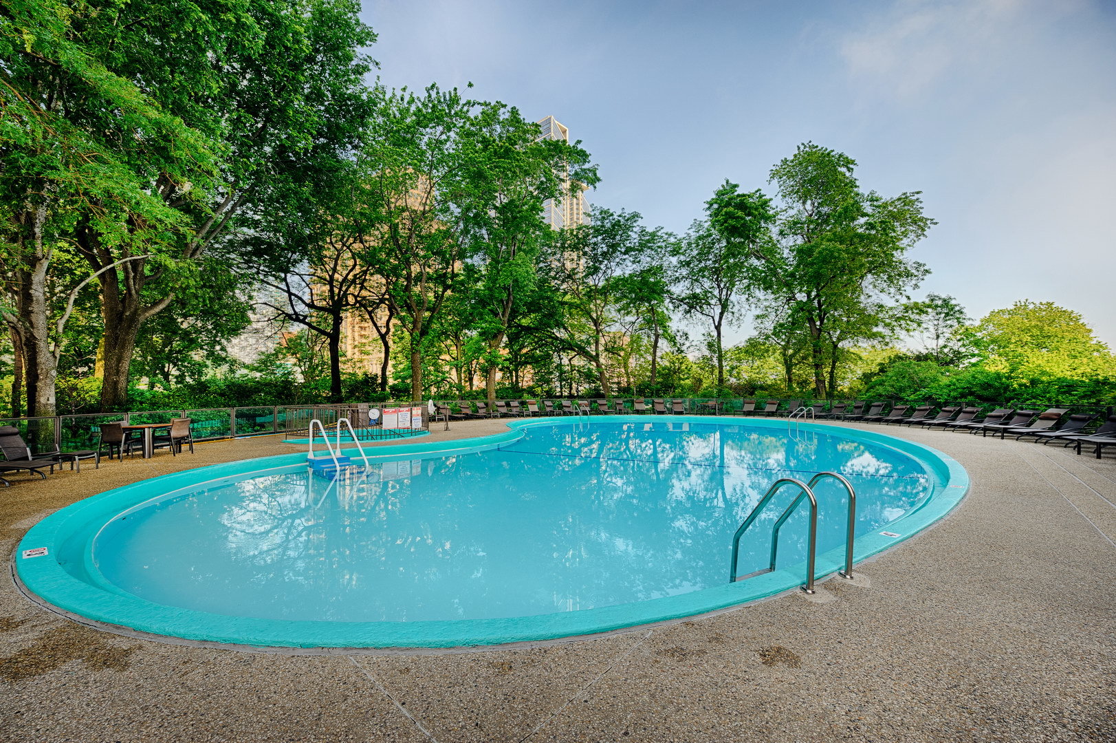 505 N Lake Shore Drive 501 Property Photo 18