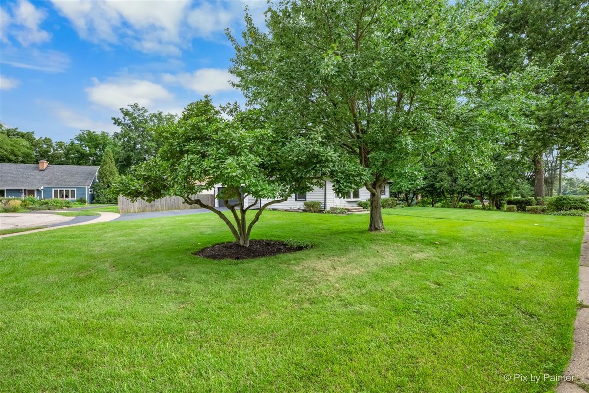 221 Sunset Terrace Property Photo 31