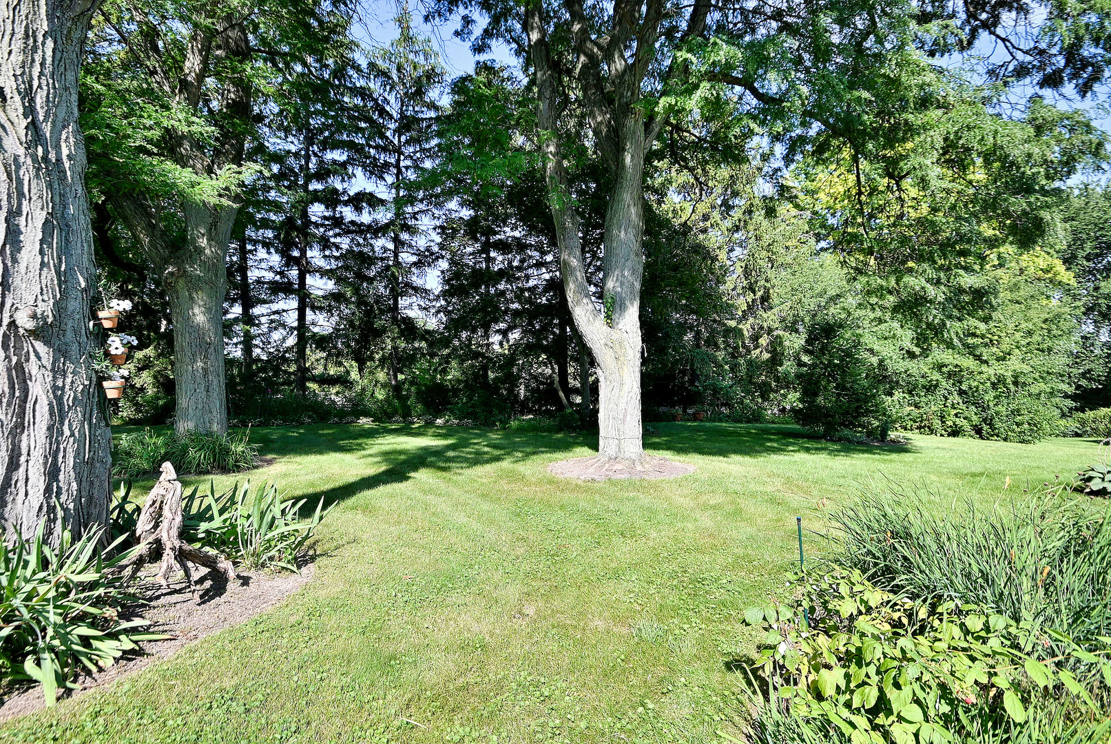 9 Dover Drive Property Photo 64