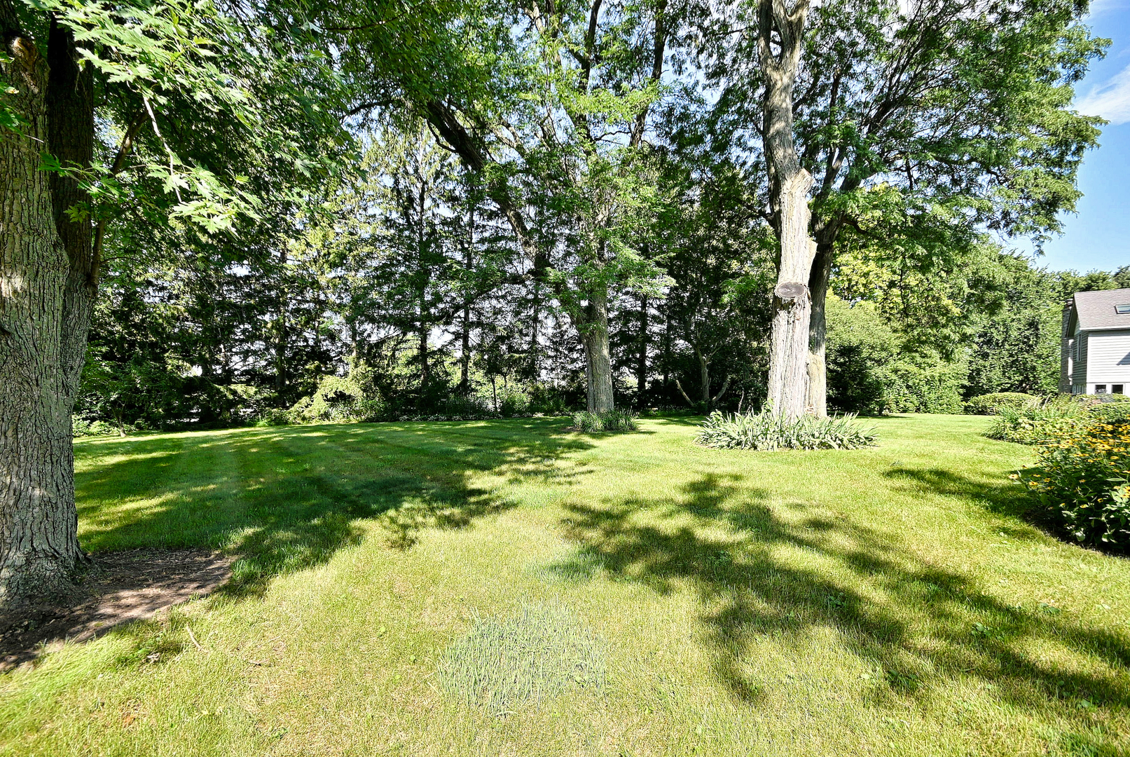 9 Dover Drive Property Photo 65