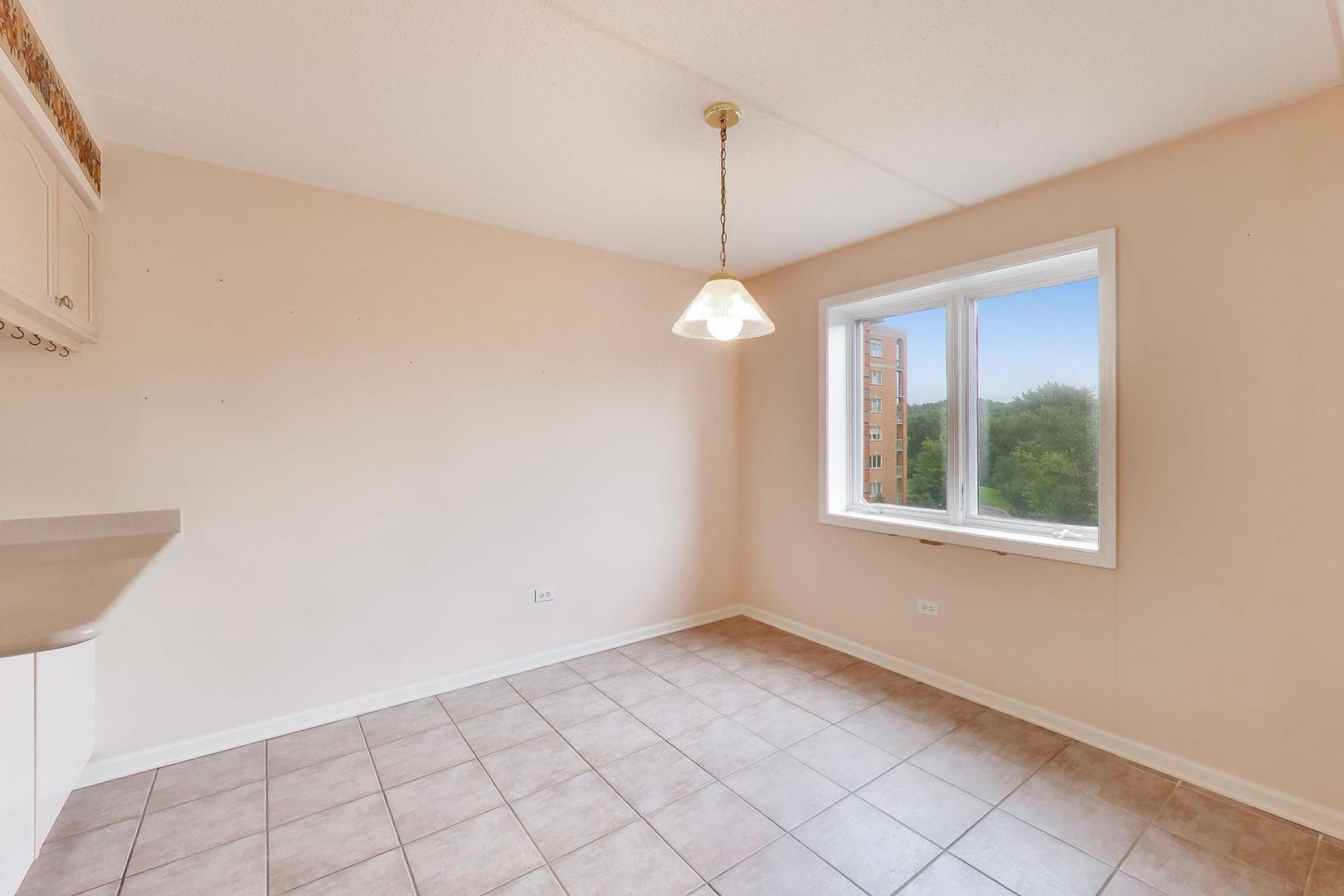 6801 N Milwaukee Avenue 410 Property Photo 16