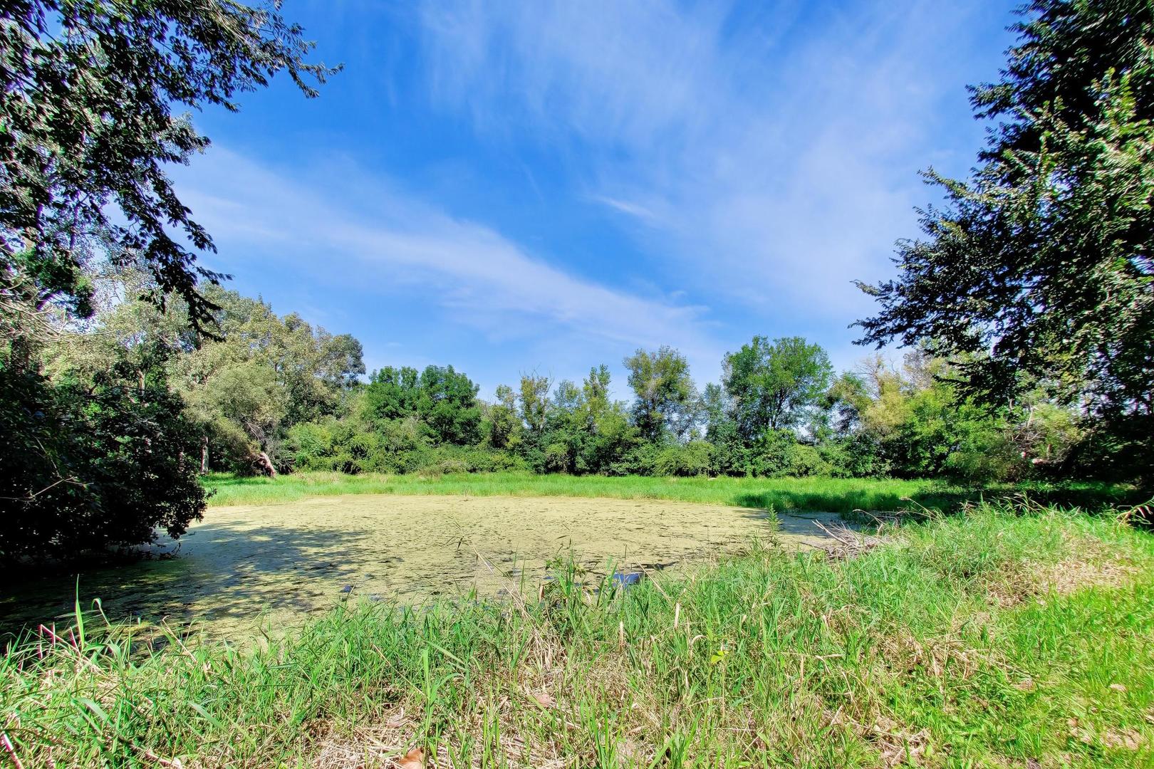12737490 Property Photo 10