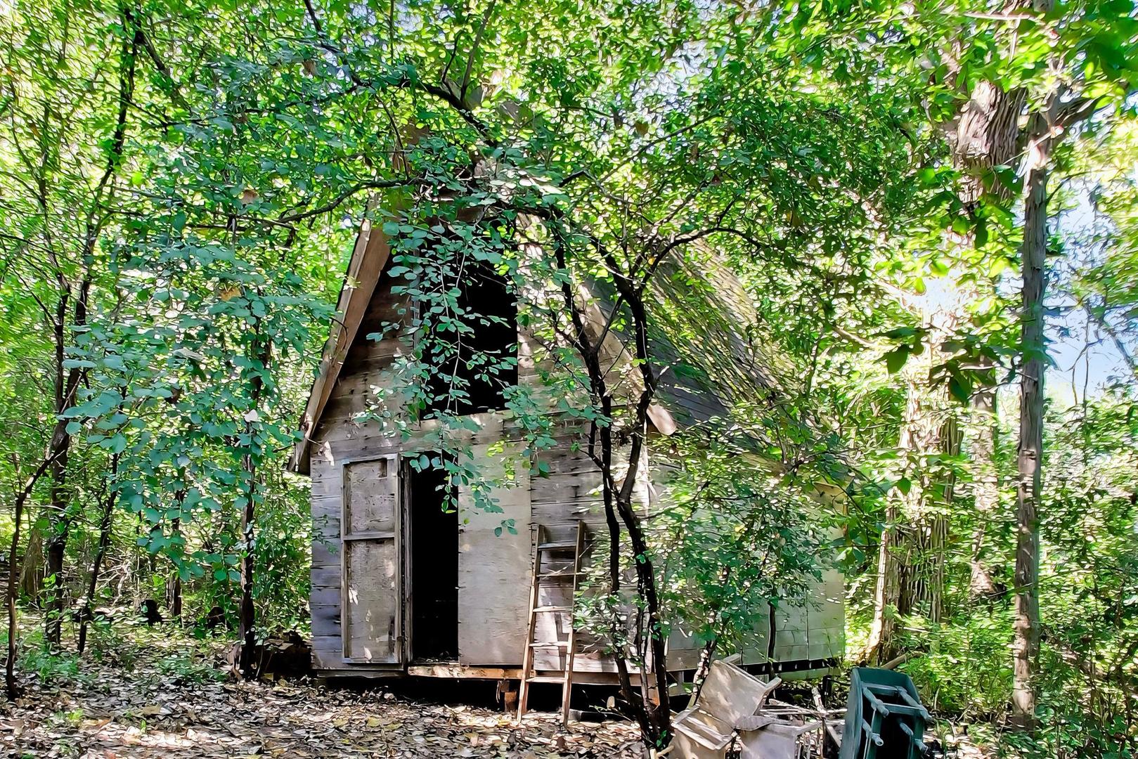 12737490 Property Photo 46