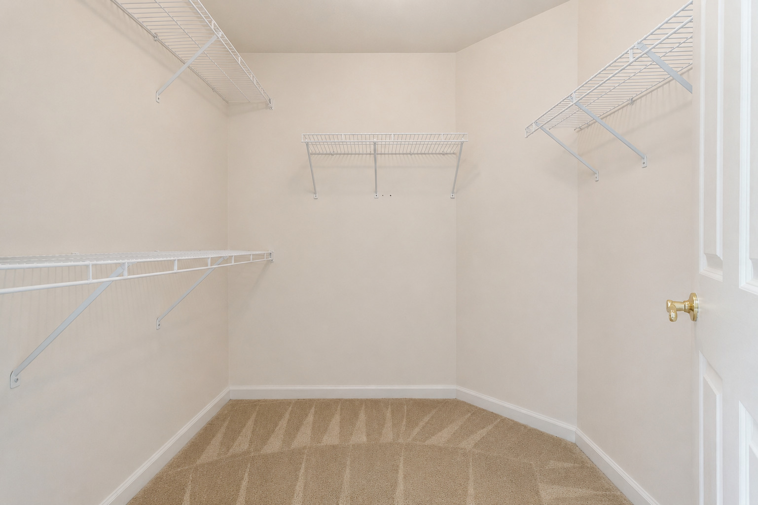 2752 Whitlock Drive Property Photo 8